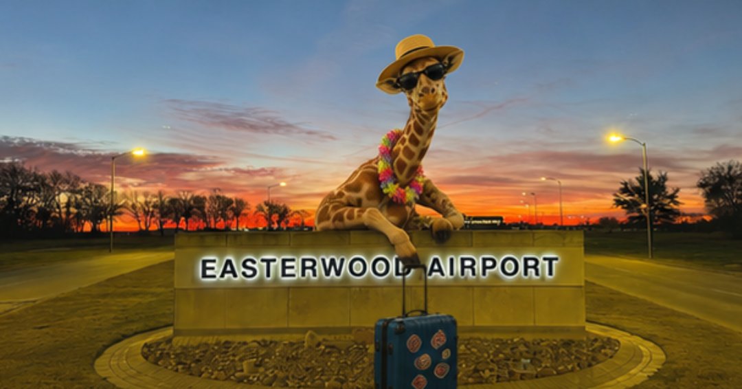flyeasterwood's tweet photo. Now that Gracie the giraffe has been found, she wants everyone to know how much she enjoyed flying in and out of Easterwood Airport. ๐ฆ We're a smart, convenient, and safe way to travel.
#flylocal #BCSairport #PeopleConnectingPeople #GracieTheGiraffe #AirportMeme https://t.co/DaQCqDFU9e