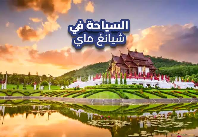 ibzaabi's tweet photo. تشيانغ ماي ( Thailand ) 🇹🇭

عاصمة الشمال التايلاندي، أهدأ من بانكوك وأعمق روحاً، معابد ذهبية، جبال خضراء، وأسواق ليلية تنبض بالحياة، بأسعار تخليك تطوّل إقامتك.

الإقامة:
• 137 Pillars House — فخم وهادئ بطابع استعماري وحدائق غنّاء.
• Rachamankha — تصميم مستوحى من المعابد، قريب من البلدة القديمة.

الأكل والقهوة:
• Khao Soi Khun Yai — لتذوق طبق الخاو سوي الشمالي الأصيل.
• SP Chicken — دجاج مشوي محلي بسعر بسيط وطعم لا يُنسى.
• Ristr8to — قهوة مختصة حازت جوائز عالمية في فنون اللاتيه.

لابد أن تزور:
معبد دوي سوثيب فوق الجبل، البلدة القديمة بمعابدها، السوق الليلي يوم الأحد، ومحمية الأفيال الأخلاقية خارج المدينة.

تشيانغ ماي وجهة تعطيك أكثر مما تدفع، وتمشي على إيقاعك أنت.

ما الوجهة اللي أحسست فيها إن الوقت يمشي على راحتك؟