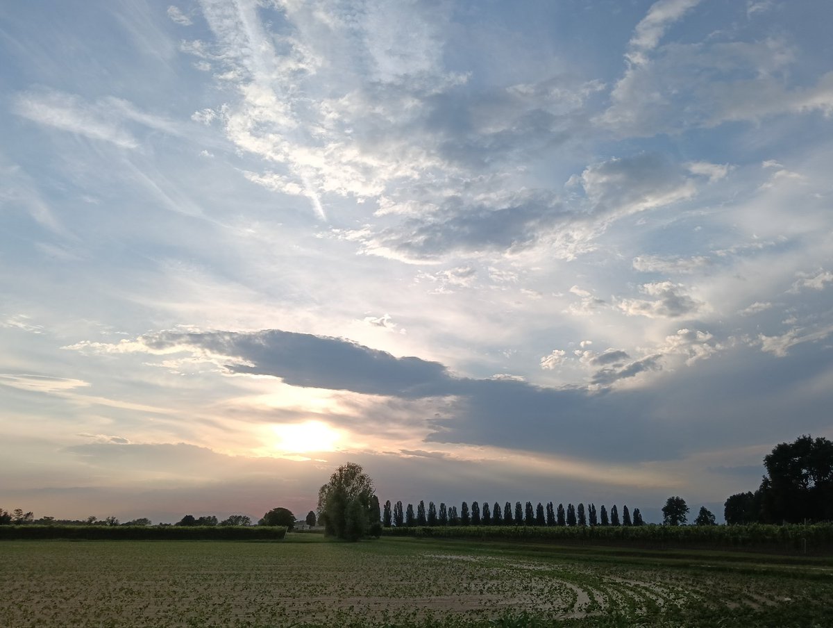GiulyDary's tweet photo. #FotoMie 📸
Sembra che le nuvole ti accarezzino con il loro delicato manto mio Sole tanto amato 🥰
La più Grande Opera D'Arte di Dio?
Madre Natura 🥰
#GiulyDary💌
#NatureVibes
#God
#MadreNatura
#OperaDArte https://t.co/tvwtXSXT98