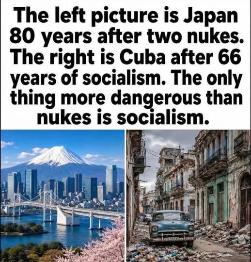 SadieSherr45406's tweet photo. @newtgingrich COMMON SENSE IS IN FACT RARE
MILLIONAIRE SOCIALIST COMMUNISTS
WHY ? https://t.co/chNen4gFYp