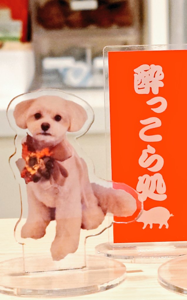 T_Arch15j's tweet photo. 遅い時間に聖地で推しのラジオを聴かせていただき本当にありがとうございました✨
お店の関連アクスタ(?)を並べてくださった店員さん、ラジオネタでは #irisyou の話題でも盛り上がってくださったキャストさんにも感謝☺️
最後の一杯は残波で🌊
おやすみなさい💤
#ama9 #ラジオ日本
#うきラジ #ひろラジ https://t.co/usZ7eWg6bY