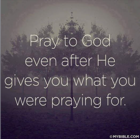 bridgeway_cc's tweet photo. https://t.co/LtziMyOBG9