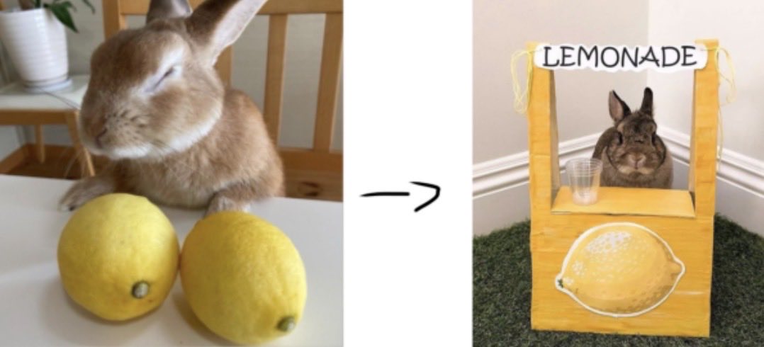 fairyeila's tweet photo. when lemons give you bunnies, make them submit to capitalism! https://t.co/x7HdDqT4V6