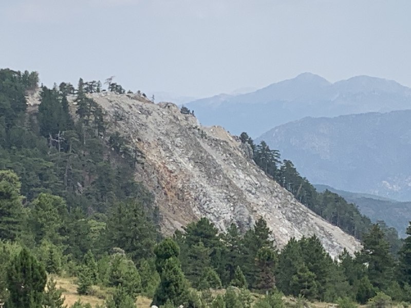YusufYavuz3's tweet photo. Burası Isparta'nın Sütçüler ilçesindeki Tota Dağı'nın karaçam ormanları...
Bölgedeki karaçam ormanları, tür için gen merkezi niteliğinde. Ormanı bir bölümü tohum meşceresi olarak ayrılmış. Kalem gibi karaçamların arasında dolaşmak benzersiz. Ancak madencilik burayı da vurmuş.⬇️ https://t.co/lM6LkkwM5p