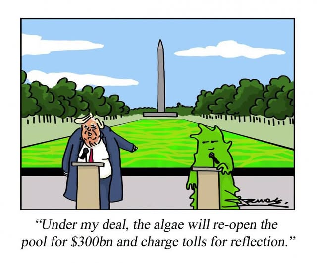 Davesnothere85's tweet photo. @RepBaumgartner https://t.co/VK9BzTzHYV