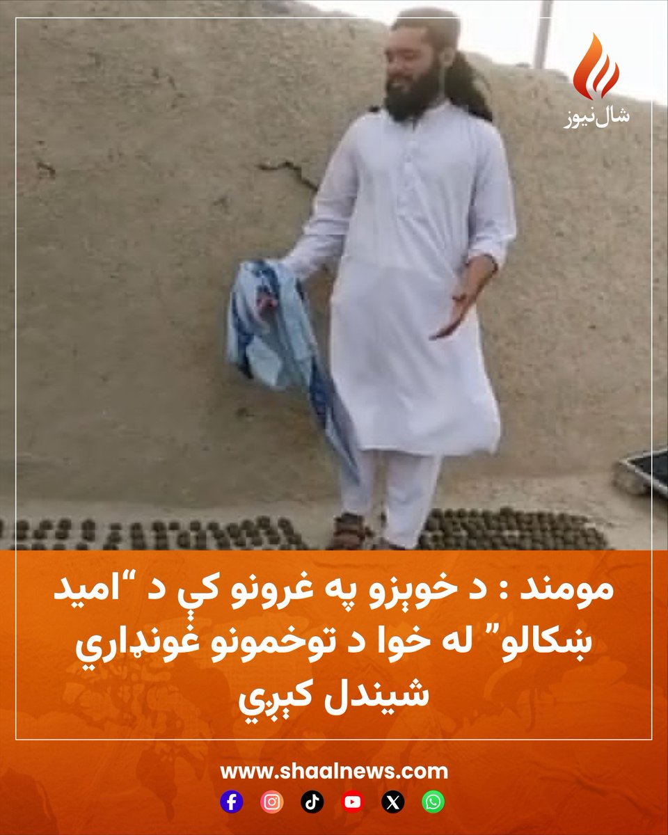 shaalnewz's tweet photo. مومند : د خوېزو په غرونو کې د “امید ښکالو” له خوا د توخمونو غونډاري شیندل کېږي
https://t.co/6YEjBe6WKm https://t.co/0Zbn49okUF