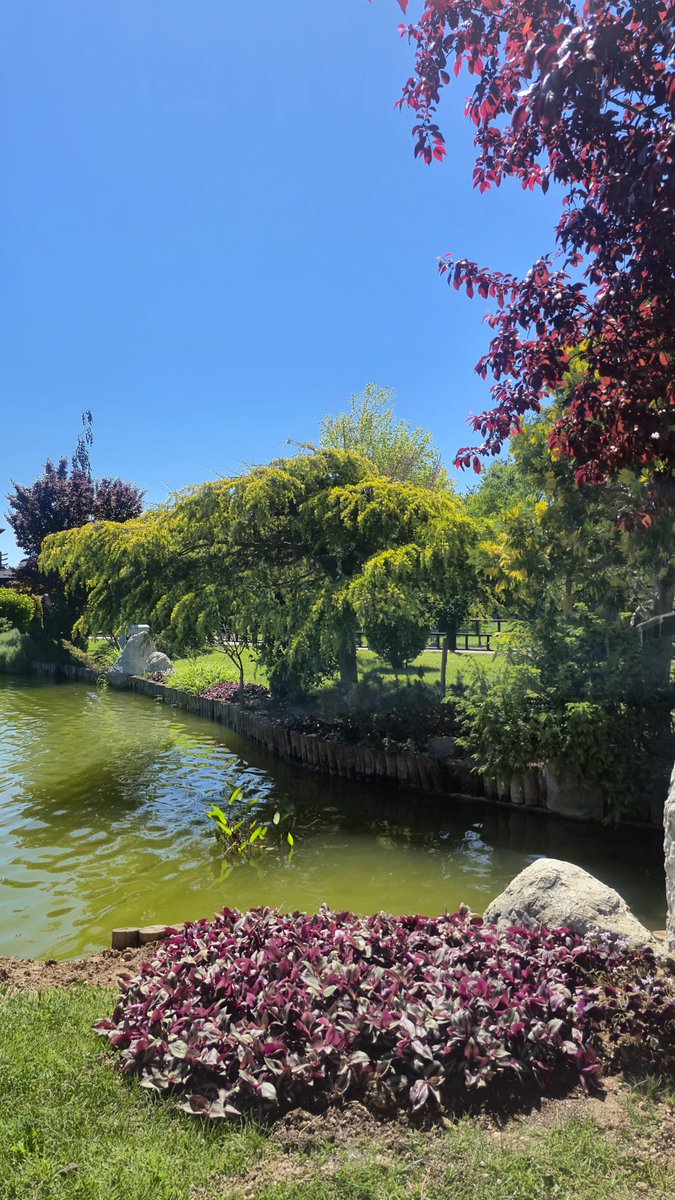 2eynepq's tweet photo. 🌿☀️ https://t.co/M8TAYgrQ3h