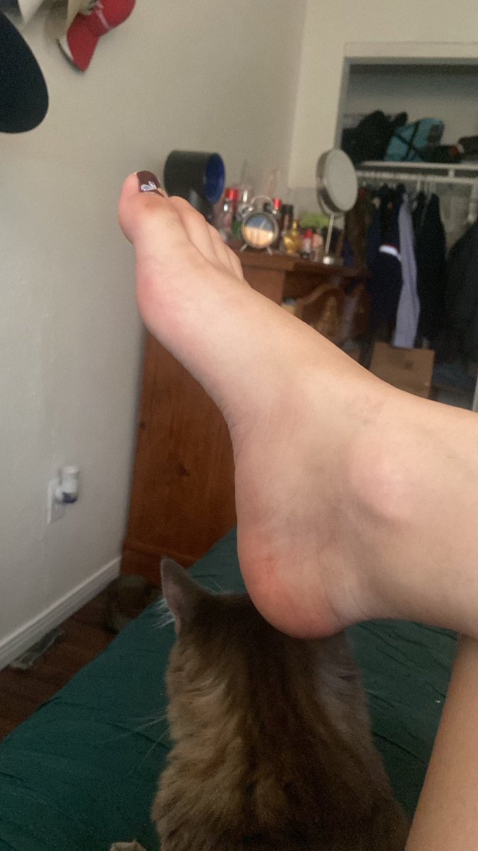 Chacahut's tweet photo. Fug it

Thigh n paw/gripper uploads

FO FREEEEE https://t.co/ZI9lvqOnVJ
