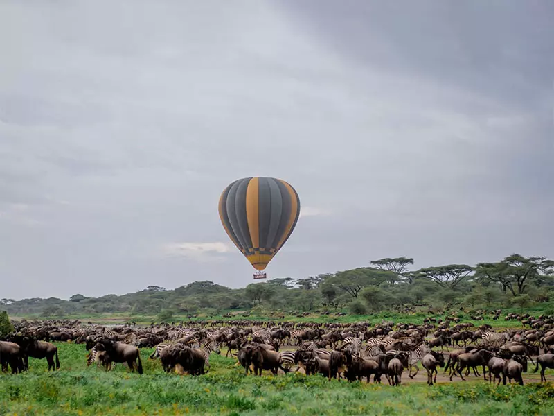 stats_wire's tweet photo. 🦁 Africa's Top 30 Safari Destinations : Ranked (Safari Index, /700)

1. 🇹🇿 Serengeti NP: 555
2. 🇰🇪 Tsavo NP : 550
3. 🇧🇼 Moremi Game Reserve: 547
4. 🇷🇼 Akagera NP : 545
5. 🇧🇼 Khwai Concession : 534
6. 🇿🇦 Kruger NP : 533
7. 🇰🇪 Lake Nakuru NP : 519
8. 🇲🇿 Gorongosa NP : 519
9. 🇧🇼 Chobe NP : 517
10.🇿🇦 Pilanesberg NP : 517
11. 🇿🇦 Madikwe Game Reserve : 517
12.🇳🇦 Etosha NP : 517
13.🇿🇦 Addo Elephant Park : 516
14.🇿🇲 South Luangwa NP : 515
15.🇰🇪 Aberdare NP : 509
16.🇹🇿 Lake Manyara NP : 508
17.🇹🇿 Arusha NP : 507
18.🇰🇪 Samburu NR : 507
19.🇰🇪 Nairobi NP : 494
20.🇿🇲 Kafue NP : 493
21.🇹🇿 Ngorongoro : 491
22.🇰🇪 Solio Ranch & Ol Pejeta : 489
23.🇳🇦 Mudumu NP: 486
24.🇳🇦 Bwabwata NP : 485
25.🇹🇿 Ruaha NP : 485
26.🇿🇲 Mosi-oa-Tunya NP : 473
27.🇰🇪 Amboseli NP : 471
28.🇹🇿 Nyerere NP : 470
29.🇹🇿 Tarangire NP : 469
30.🇺🇬 Queen Elizabeth NP (Uganda): 468

Source: Safari Index,Tourlane