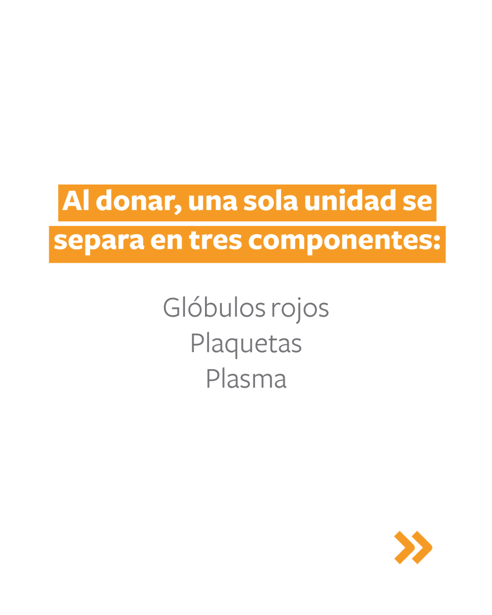 arsreservas's tweet photo. ¿Sabías que una sola donación puede salvar hasta tres vidas? 

Al separar glóbulos rojos, plaquetas y plasma, cada componente beneficia a pacientes distintos.

¡Dona hoy y sé parte de quienes marcan la diferencia!

#ARSReservas #HemocentroNacional https://t.co/1yluJoksEC