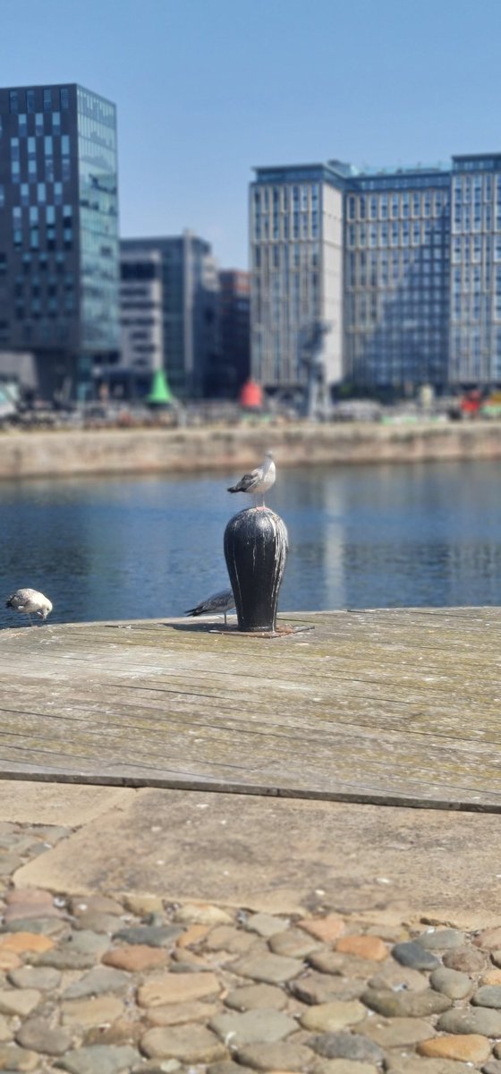 EmmaJanesLife's tweet photo. #AlbertDocks #Liverpool https://t.co/8EYq0977zg