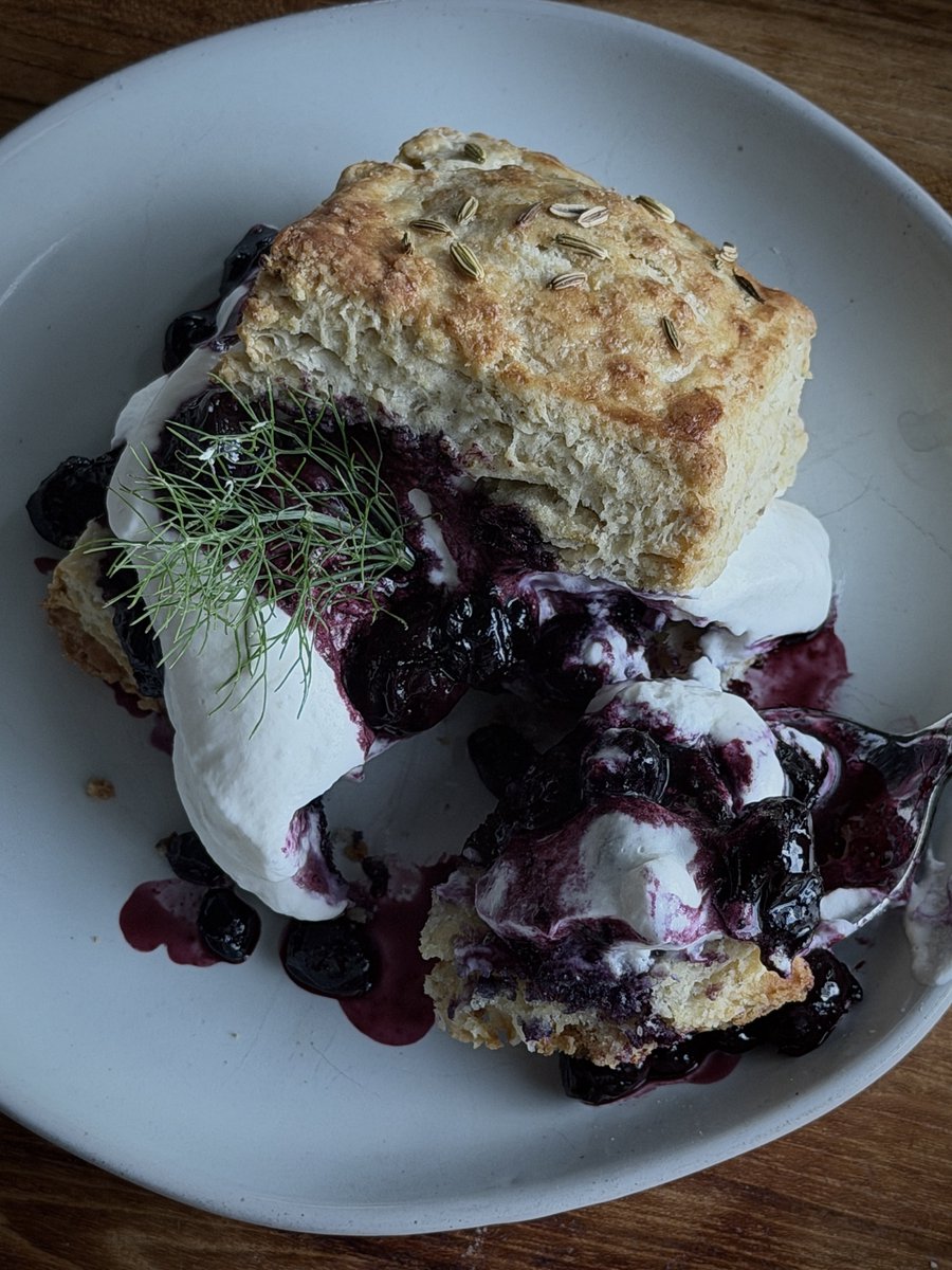theclovecoterie's tweet photo. Blueberry &amp; fennel shortcakes:
Flaky, buttery fennel seed biscuits, blueberry compote, lemon mascarpone whipped cream

Full recipe up on substack now ☁️ https://t.co/vvPYub54HT