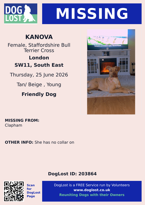 millypod1's tweet photo. 🆘25 JUNE 2026 #Lost Kanova #ScanMe
YOUNG Staffordshire Bull Terrier Cross Female
#Clapham area #SW11 #London #GreaterLondon
https://t.co/p80a2gQoGD https://t.co/cZTqToKXA0