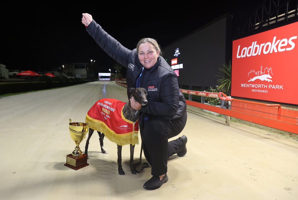 wentyparkgreys's tweet photo. RACING TONIGHT AT WENTY PARK 🐾

🏆G1 NSW GBOTA Vic Peters Classic &amp; Peter Mosman Opal Heats 

Free Entry - Wentworth Park Rd, Glebe   
Wentworth Park Sports Bar - Level 1
First race 7.03pm
 
$39 Winter Buffet on Final Night - 4th July, 2026! 

📸 Redden Photo Video Race Images https://t.co/1ruQxkH3sN