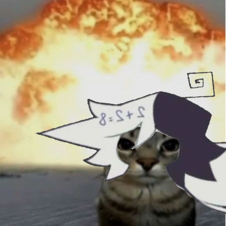 DailyFPEMemes's tweet photo. #FPE memes taken before disaster
#fundamentalpapereducation #fundamentalpapereducationfanart #fpefanart #fanart #fpetwt #FpeX #KATIEVERSE #kaaatie #Kaaatieverse #a3dghost #fpeart #fpememe #dailyfpememes #fpeseries #FPEfandom #fpezip #fpearts #zipfpe #fpecat https://t.co/m4UBdC9ZGs