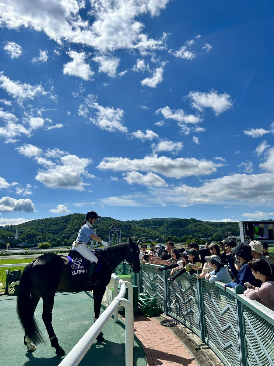 JRAFUKUSHIMA's tweet photo. 🍑夏の福島競馬🍑
本日から夏の福島競馬が開幕❗️晴天で開幕を迎えることができました☀️
開催全日で、誘導馬のお出迎えを実施中🐎
本日のお出迎えは、#ヒルノマドリード 
#JRA #福島競馬場 #誘導馬 https://t.co/uUn3Dtgzbh