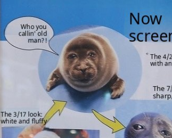 deadlierthnever's tweet photo. I CNWOOT SROP LAUGHING https://t.co/oklAiP4tkL