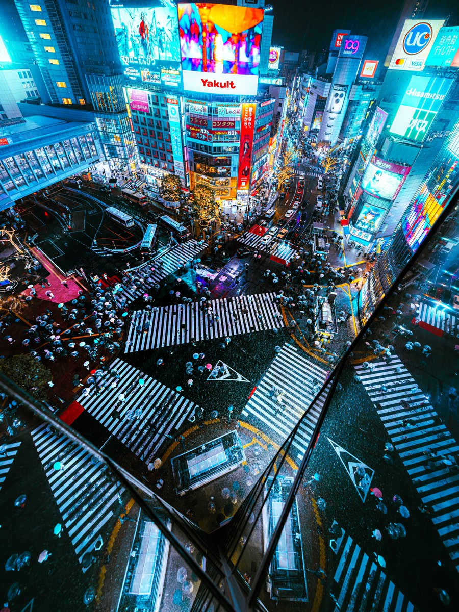lover123789's tweet photo. Exciting news for my followers!

One of my photos has been featured on the cover of the latest DK Travel Tokyo guidebook. 
I’m truly honored. It’s only available in English,… https://t.co/QfWHQP9RMX