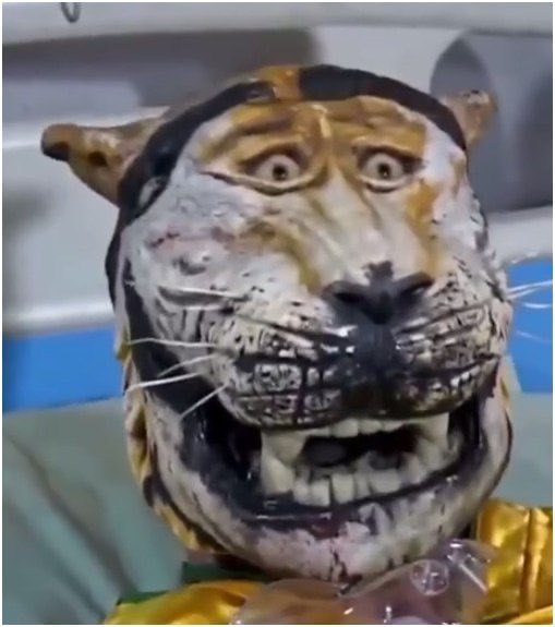 fbiodes's tweet photo. Desperte o tigre que há em você. O tigre que há em mim https://t.co/wIn0YO0xGe
