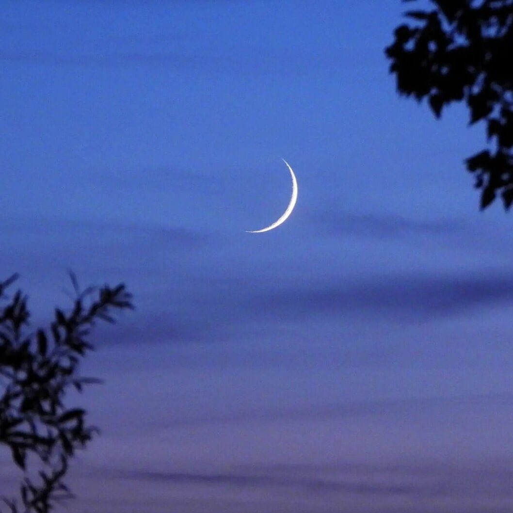 bloomele_'s tweet photo. forever in love with the moon https://t.co/jzXmfig6hx