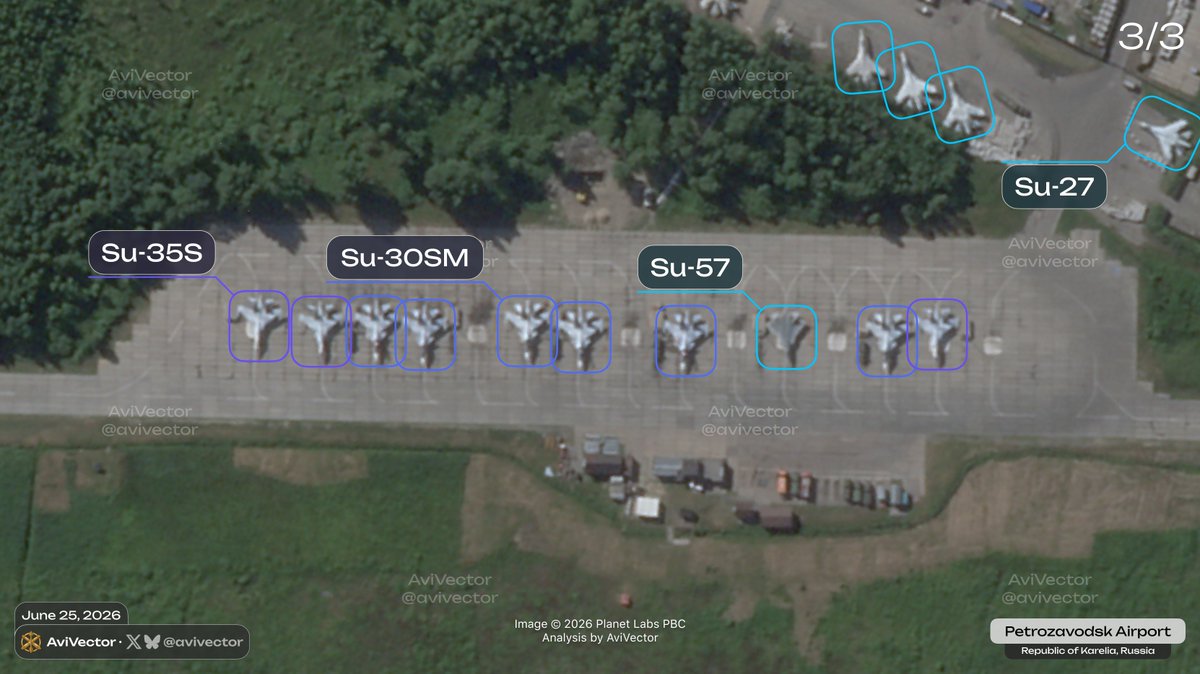 AviVector tweet media