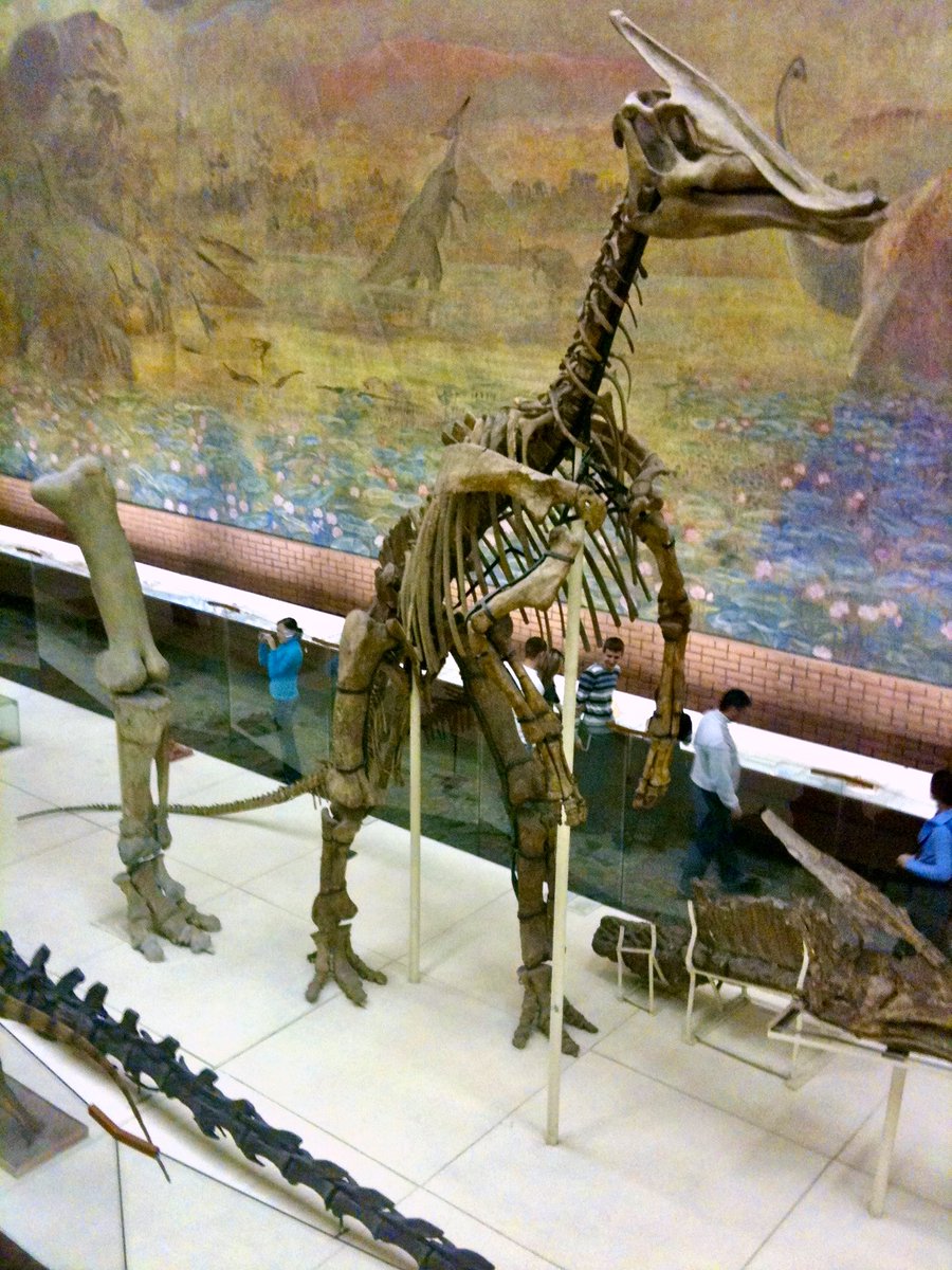 ingen2k's tweet photo. Saurolophus
5 January, 2010 https://t.co/fQUb6eqqRj