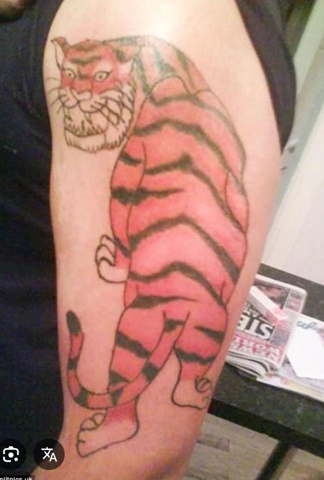 cristybm's tweet photo. @MerGarza Al de edición le dijeron que buscara la imagen de un tigre para que se basara para hacer la animación y parece que utilizó esta https://t.co/CuwW6i5T3e