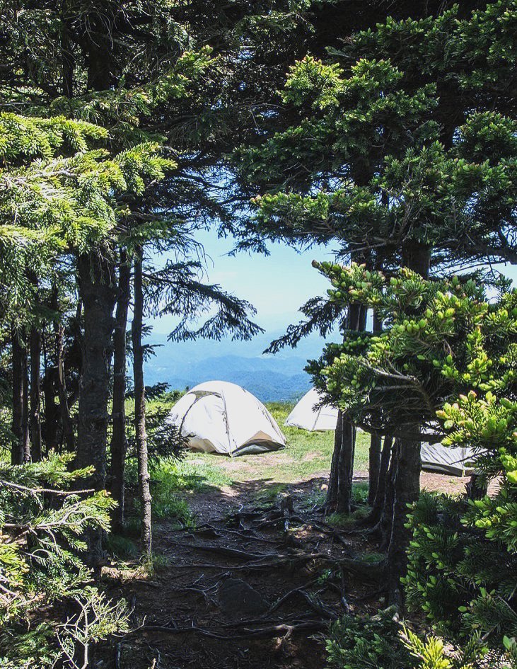 lovelyfckerssss's tweet photo. Nothing beats the calm of morning dew on pine needles, warm coffee in a chipped mug, and no work notifications—just me, the woods, and pure slow joy. https://t.co/piYODiKxy2