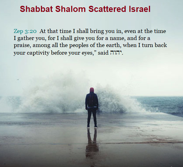 OneScattered's tweet photo. 🩵Shabbat Shalom🩵 https://t.co/mVs2Hypcv5