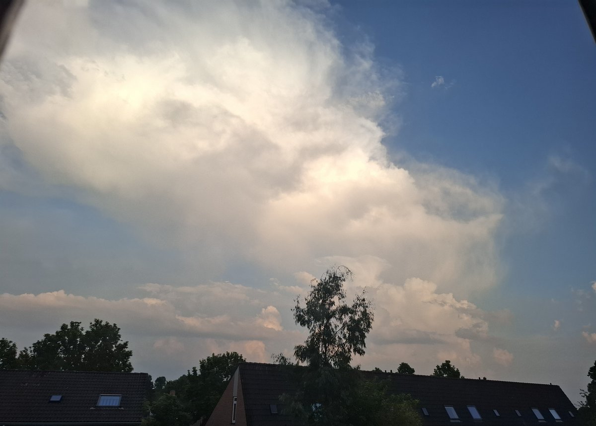 Stesch84's tweet photo. Zo begon het https://t.co/XQ80cR2MM7