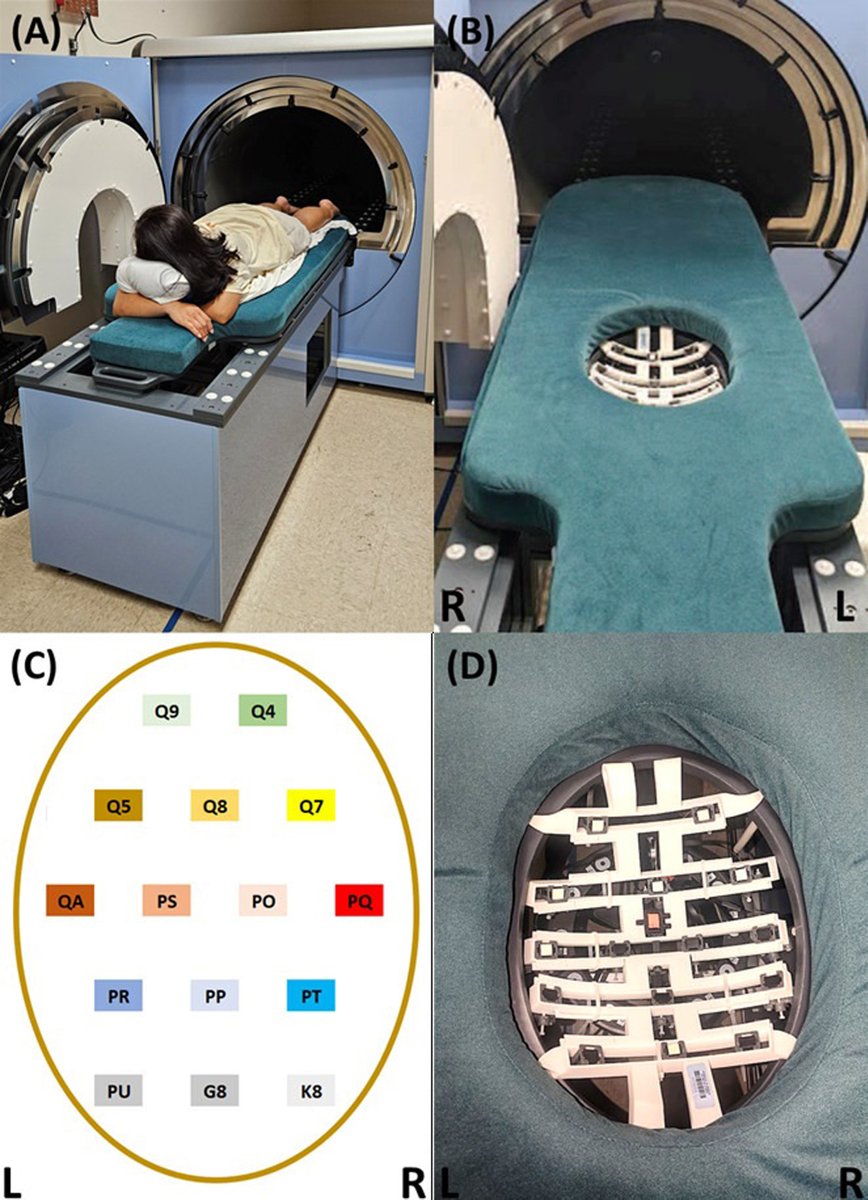 hrs_journal's tweet photo. Influence of Maternal and Fetal Factors on Fetal Magnetocardiography Measurements Using Optically Pumped Magnetometers #OpenAccess 

https://t.co/57IDXU5S1M https://t.co/mSJy5SwQFv