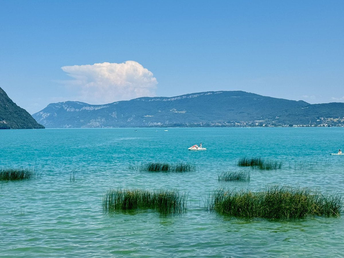 fferi_'s tweet photo. Au Bourget du Lac aussi les canicules s'emballent. 🌡️🔥 https://t.co/CmdQGcsMlD
