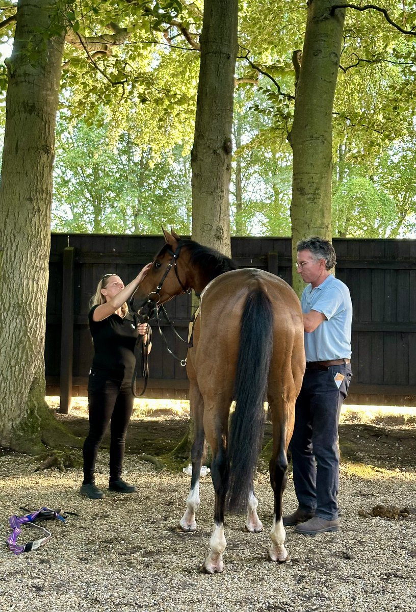 CollingsBerry's tweet photo. Not our day today but Dereham gave it a good old rattle to be third in the race named in his honour which he’s won three times before. Thank you @NewmarketRace for the honour of the Dereham Handicap and this lovely tribute in the race card. https://t.co/Viw8dc9460