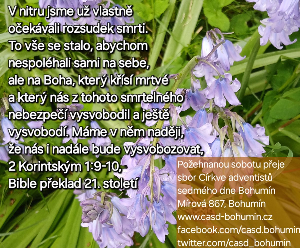 CASD_Bohumin's tweet photo. Přejeme požehnaný Sobotní den pod Božím vedením i ochranou.
Kéž je tento den pro vás naplňující pokojem a radostí.
#Sabbath #Sobota #PozehnanySabbath #PozehnanaSobota
#Bohumin #CASD #Adventist #Církev #Faith #Czech #Cesko #Sedmy #Den #Moravskoslezsko #SDA #Ellen #Gould #White https://t.co/G5z0prgMlf