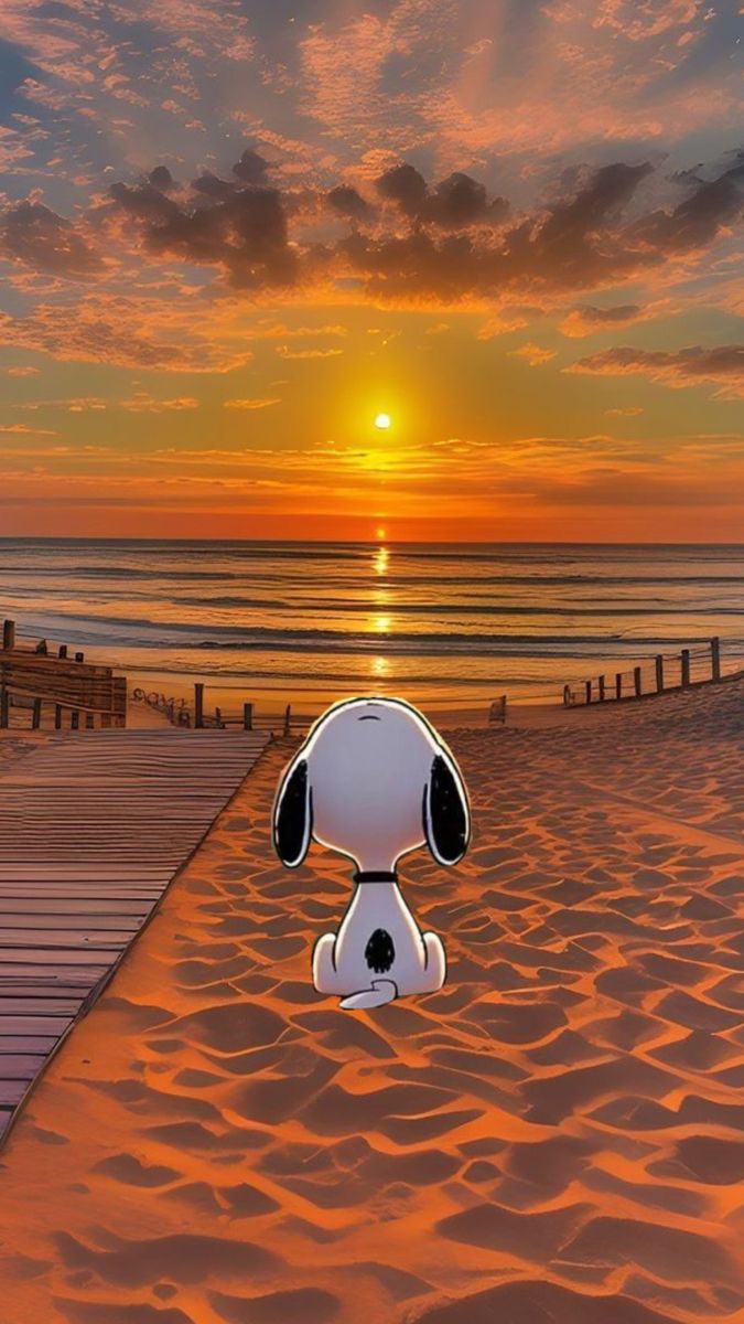 SnoopyLove85186's tweet photo. https://t.co/fvb5gU6YyK