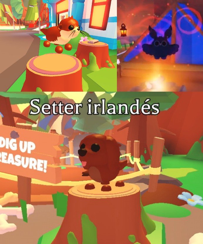 NoticiasAdoptMe's tweet photo. Actualización de Adopt Me 26 de Junio - 2026
🌞🏕️Festival de Verano 2026(Campamento)🏕️🌞- Semana 2
-🐶 3 Nuevas mascotas: ¡Setter irlandés,Nutria de río y Búho estigio
-👓 ¡Nueva ropa de mascotas!
-🛶 ¡Nuevos juguetes! https://t.co/d0kX7tqtMY