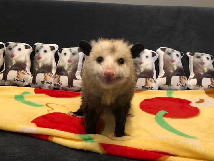 zaripossum's tweet photo. When no one fw you https://t.co/h491k9q9mP