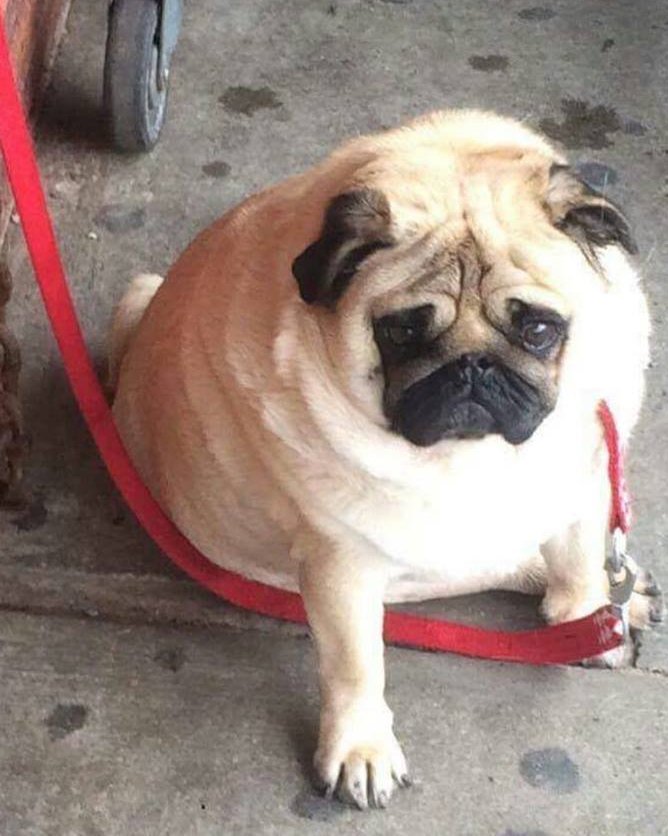 soloyvirgen's tweet photo. yo ahora mismo 😔 https://t.co/HCLOWuEMwW