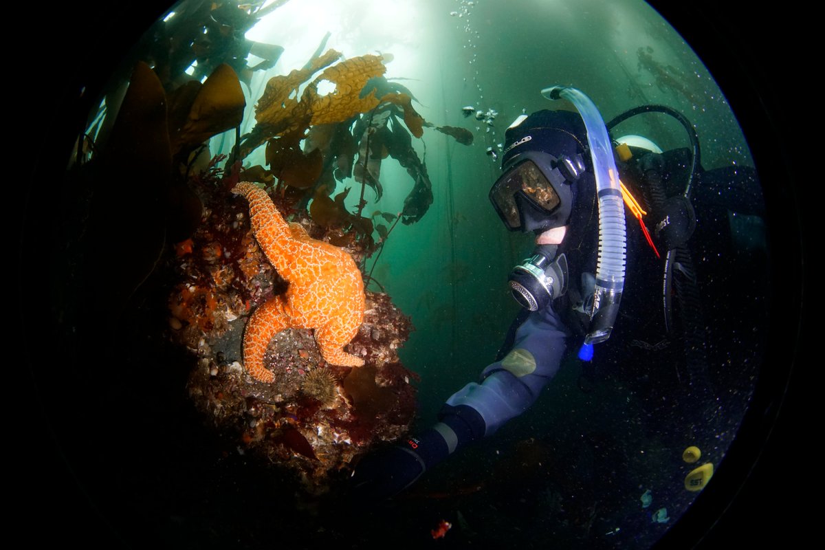 Sanctuaries (NOAA) tweet media