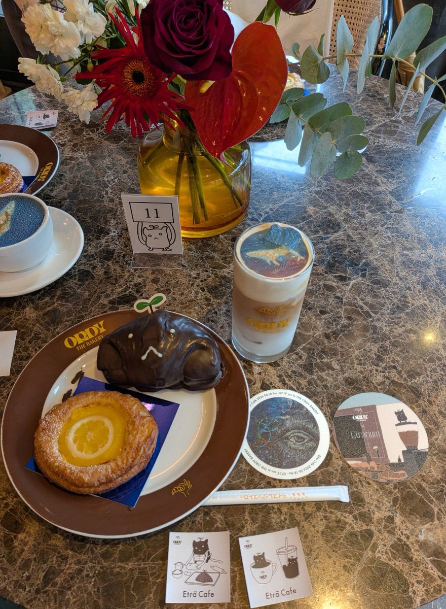 sakurah01354456's tweet photo. Etra Cafe行ってきました
一番最初の時間帯だったので
待ってる時に窓の向こうに
みや君を…見かけましたwww
#Etra Cafe
#宮川大聖 https://t.co/E8g5fE58d3