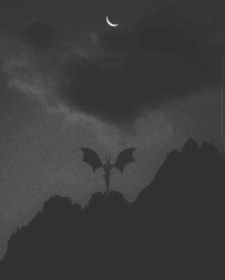 LordFractus's tweet photo. Those who tell the stories have read them, but those who wrote them lived through them.

Why do you think there are no books about the king ? https://t.co/wG6qvUrU7N