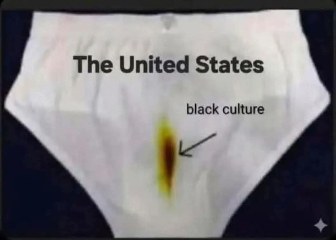 THawk65600331's tweet photo. @LIBERALAF4EVER @jimstewartson https://t.co/Vk5BweKA6f