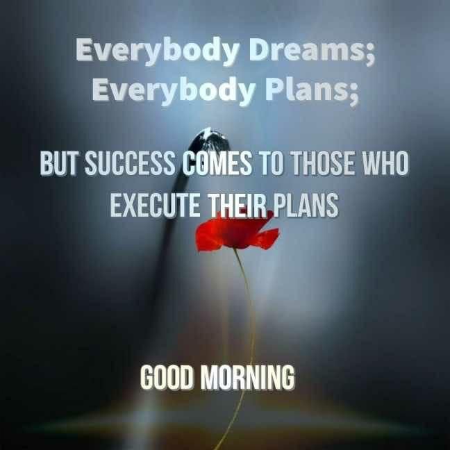 BNSReddyIPS's tweet photo. Hi,Very Good morning to you and have a super Saturday and a lovely weekend. 🙏 BNS REDDY https://t.co/JelZCEVCog