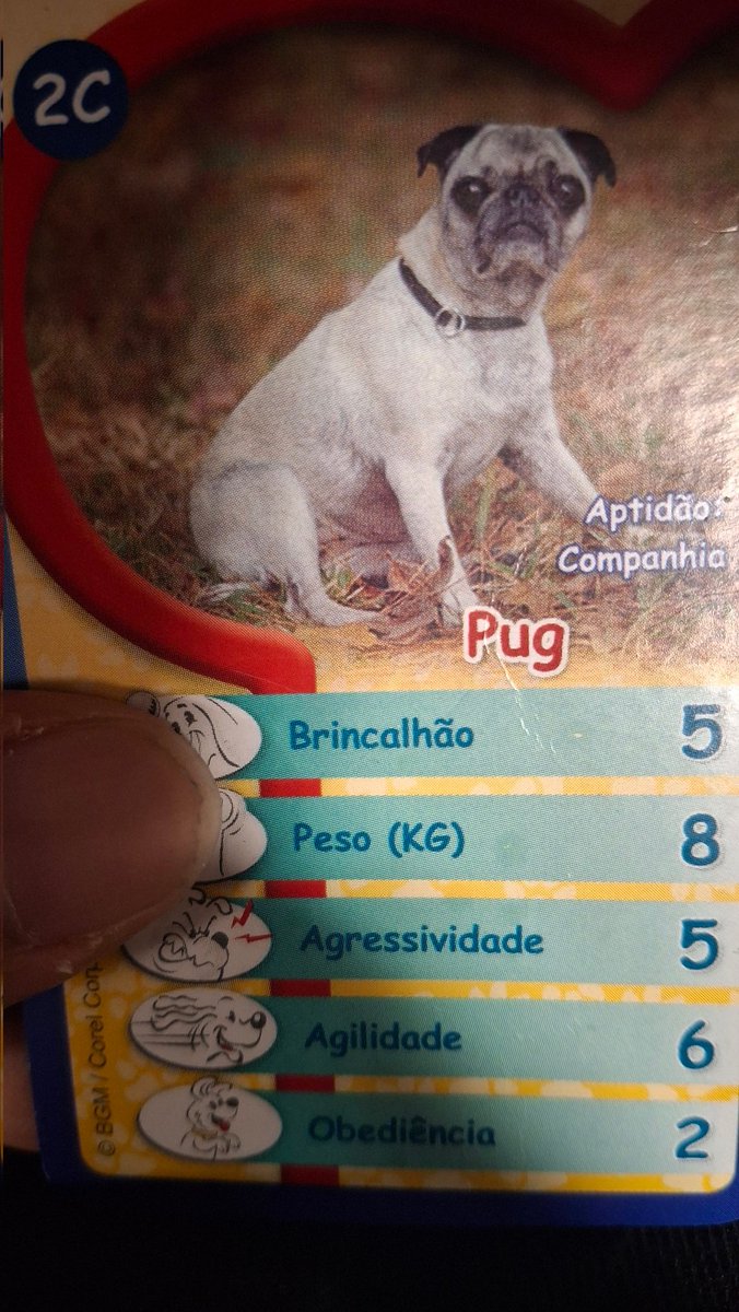 PedroHMol2007's tweet photo. Loot bizarro q achei na van https://t.co/Wk0tl1um8L