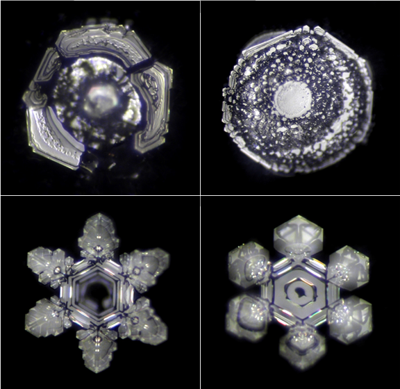 TheRealRamtha's tweet photo. Top row samples 1 and 2 - Distilled water only.
Bottom row samples 3 and 4 - Blu Boosted distilled water after 20 minutes UVB & 111Hz tone.
Imagine what the Blu Room is doing to all the water in your body!
Drink water from the Blu Room or bring your own water with you or both!

Special thanks to Diego at Centro Olistico Bluwave for finding a water lab to conduct the tests and for sharing his results.

Why wait for a mythical Med Bed when you can access JZ's Blu Room invention now? Visit https://t.co/vP4rofAPvS for Locations worldwide.
Add a Blu Room to your wellness business! Email info@bluroom.com for details.