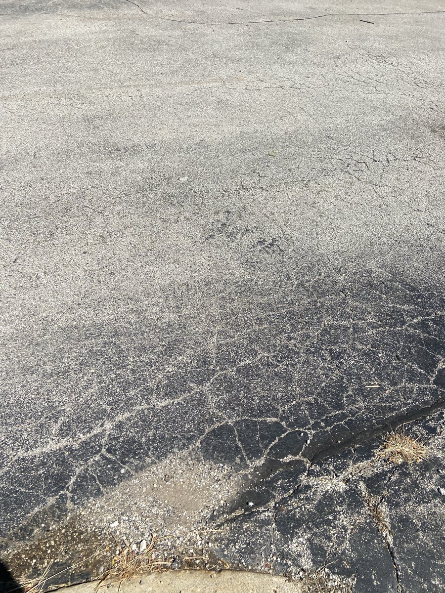 MemeKidWignat's tweet photo. If you see this on the road. DO NOT INHALE IT. it can cause you to get the woke mind virus. #woke https://t.co/p9fKIq3TVX