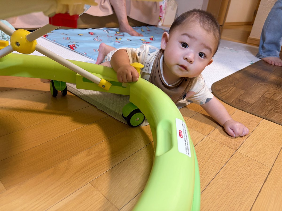 riu_555's tweet photo. 可愛すぎる次男坊

生後半年、はいはいもおすわりもつかまり立ちもできるようになって成長しすぎで怖い😂😂 https://t.co/LwtECEu9oP