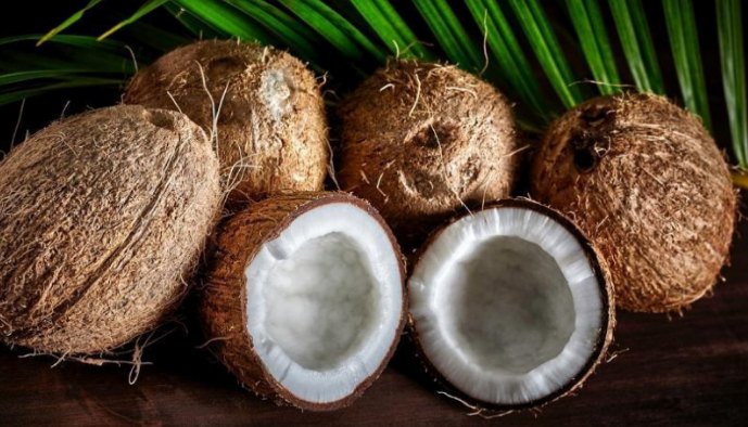 Chicomacarico's tweet photo. 🌎CURIOSIDADE: O nome da água que fica dentro do coco se chama Endosperm.

Então quem toma agua de coco está tomando esperm...👀 https://t.co/sU4Pp2BsYL