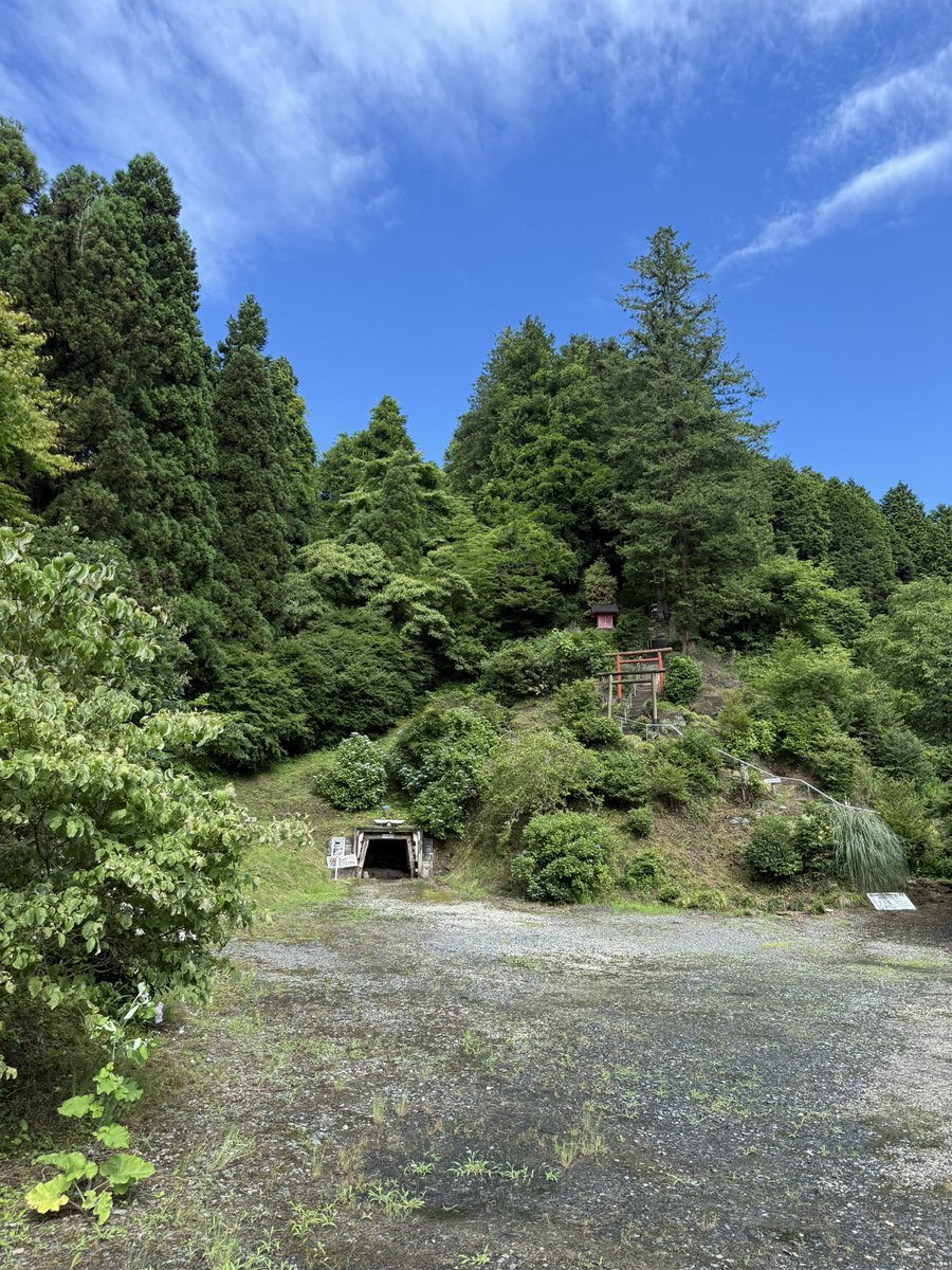 MirokuZe40335's tweet photo. 今の弥勒沢
時間　2026/6.27（土）8:25
気温　22.0度
天候　今は晴れ

本多式標準型瓦斯検定燈 
　炭鉱ランプ安全灯 https://t.co/q9m0Fe3Ext