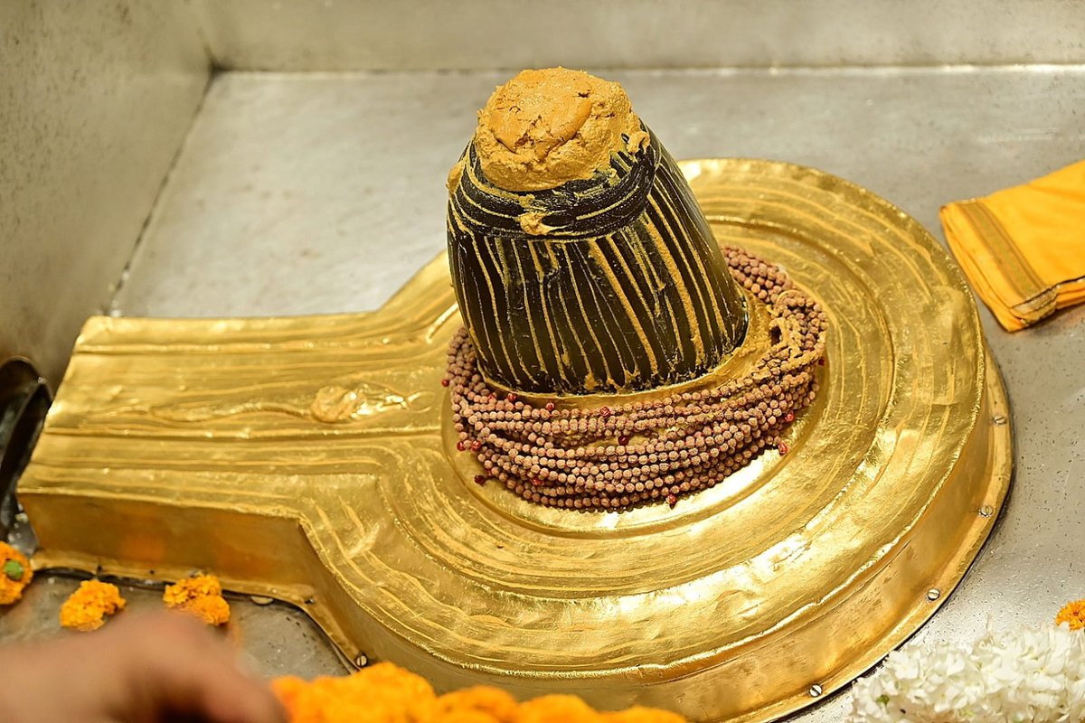 ShriVishwanath's tweet photo. श्री काशी विश्वनाथ जी की मंगला आरती I
#kashivishwanath #kashi #sanatandharma #banarasisilk https://t.co/h4bGUoy45Z